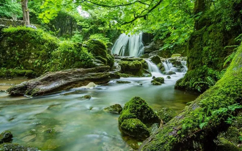 高端智能制造全自动
